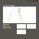 Calacatta Regal.webp