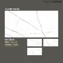 Flurry White.webp
