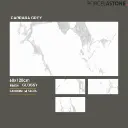 Carrara Grey.webp